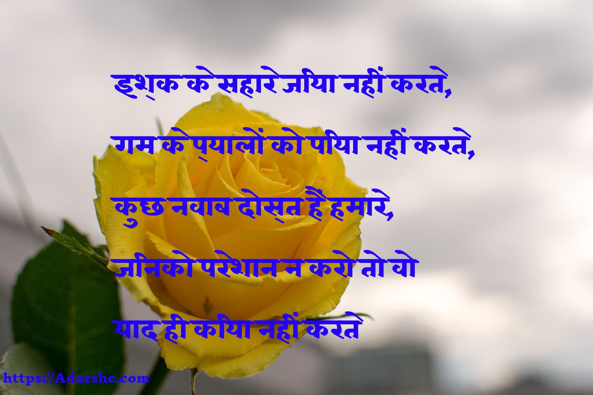 इश्क के सहारे जिया नहीं करते,
गम के प्यालों को पिया नहीं करते,
कुछ नवाब दोस्त हैं हमारे,
जिनको परेशान न करो तो वो
याद ही किया नहीं करते