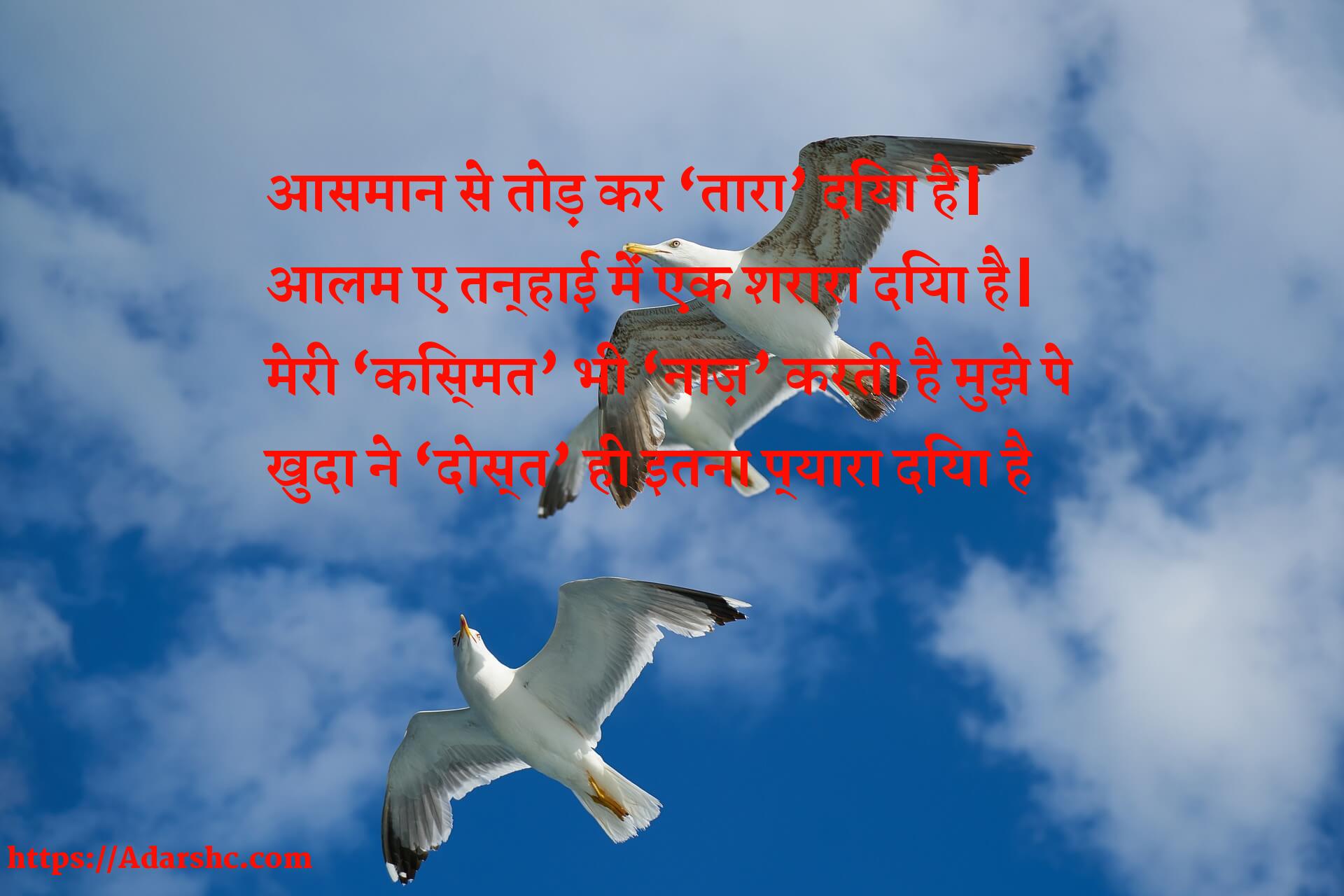 आसमान से तोड़ कर तारा दिया है|
आलम ए तन्हाई में एक शरारा दिया है|
मेरी किस्मत भी नाज़ करती है मुझे पे
खुदा ने दोस्त ही इतना प्यारा दिया है