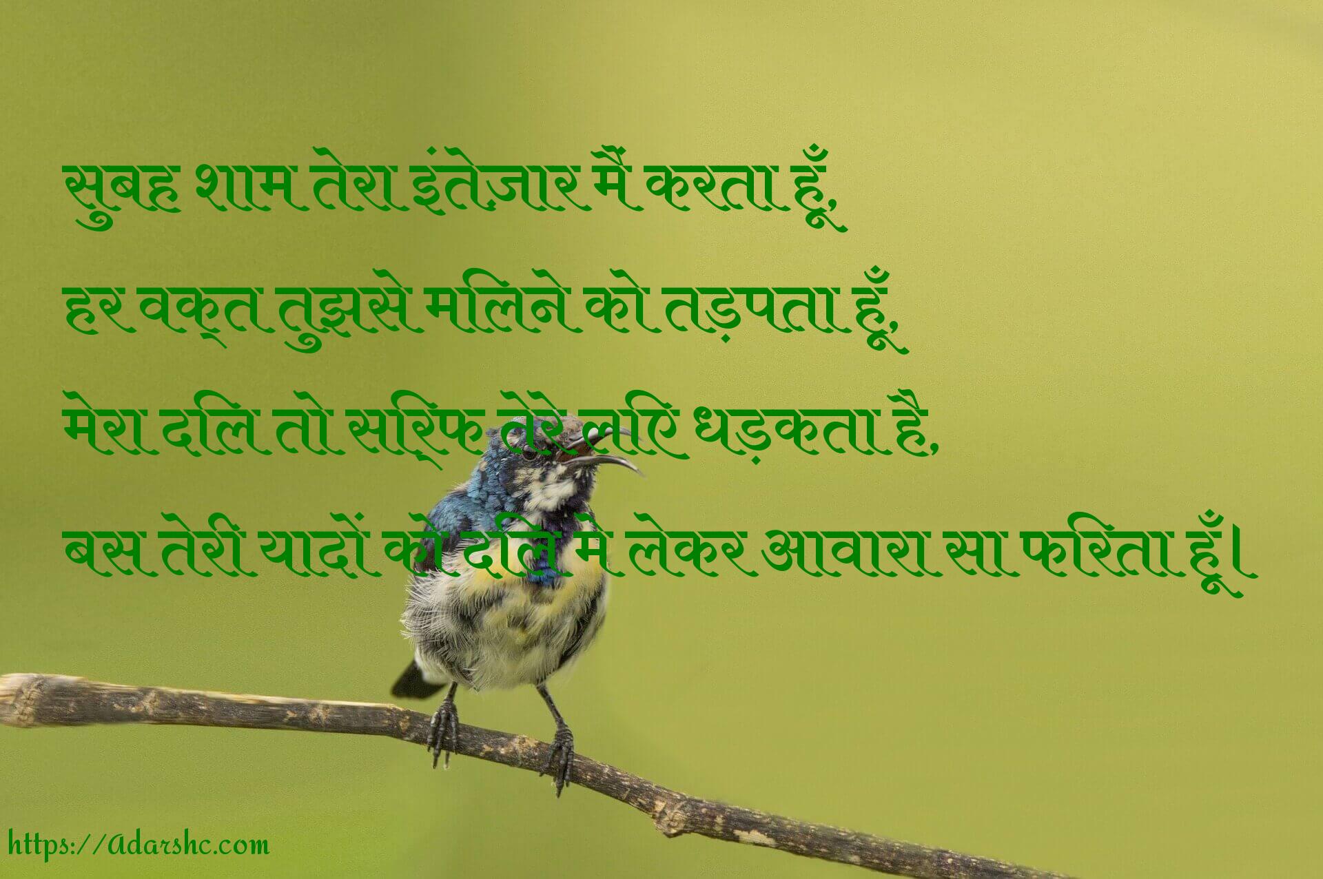 सुबह शाम तेरा इंतेज़ार मैं करता हूँ,
हर वक्त तुझसे मिलने को तड़पता हूँ,
मेरा दिल तो सिर्फ तेरे लिए धड़कता है,
बस तेरी यादों को दिल मे लेकर आवारा सा फिरता हूँ।