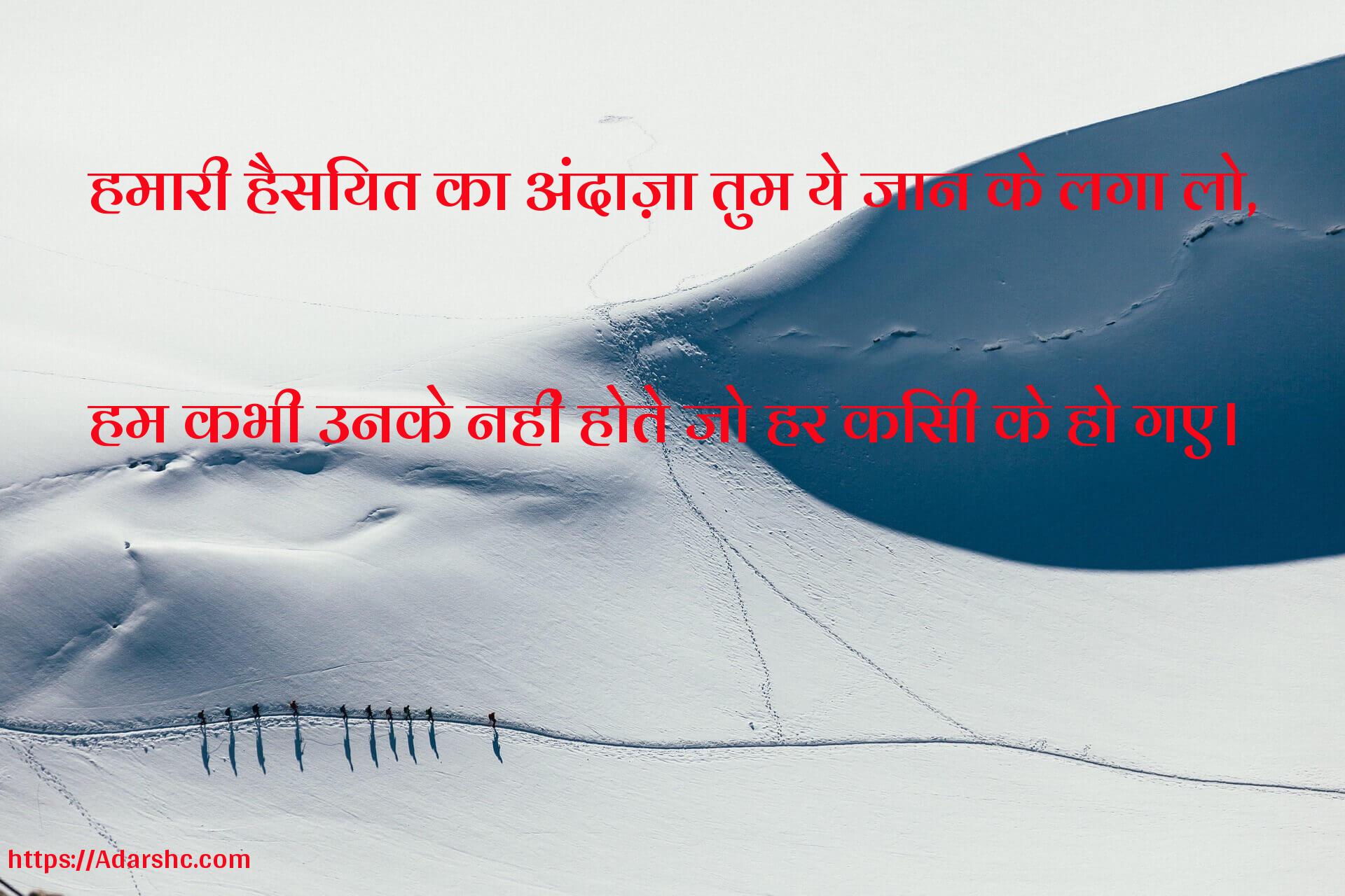 हमारी हैसियत का अंदाज़ा तुम ये जान के लगा लो,

हम कभी उनके नहीं होते जो हर किसी के हो गए।